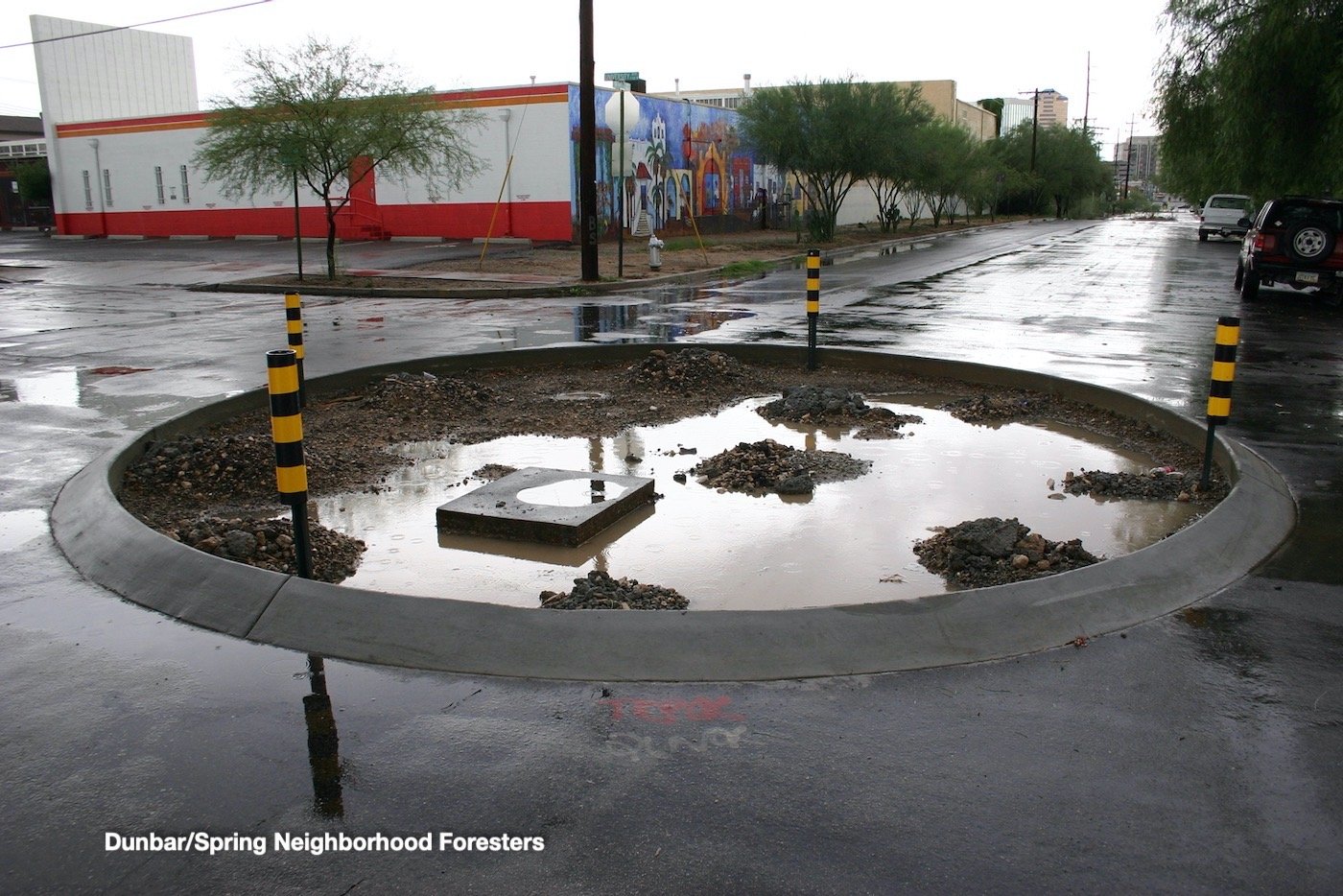 PLANT THE RAIN - Water-Harvesting Native Food Forest Fund Raiser