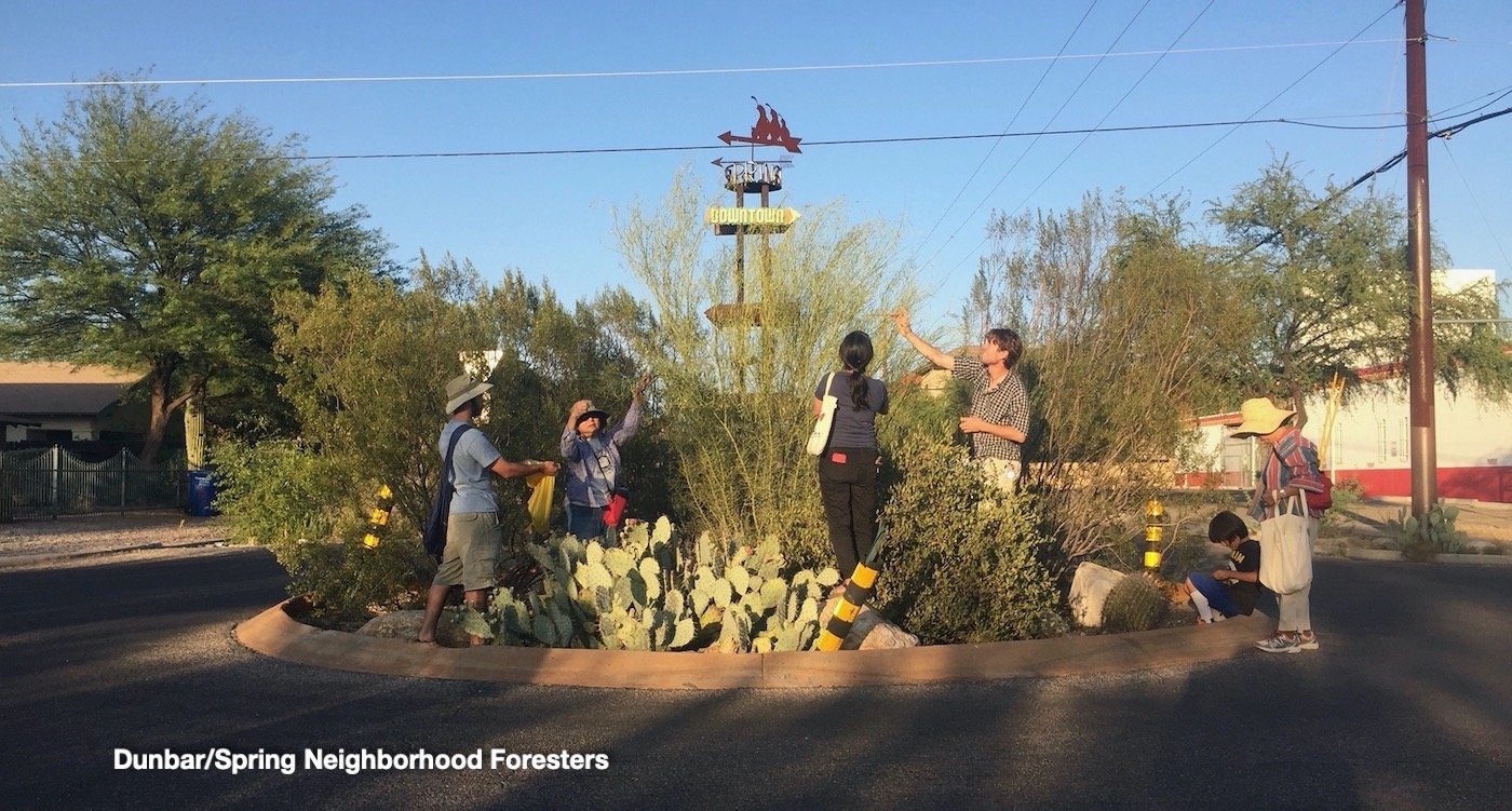 PLANT THE RAIN - Water-Harvesting Native Food Forest Fund Raiser
