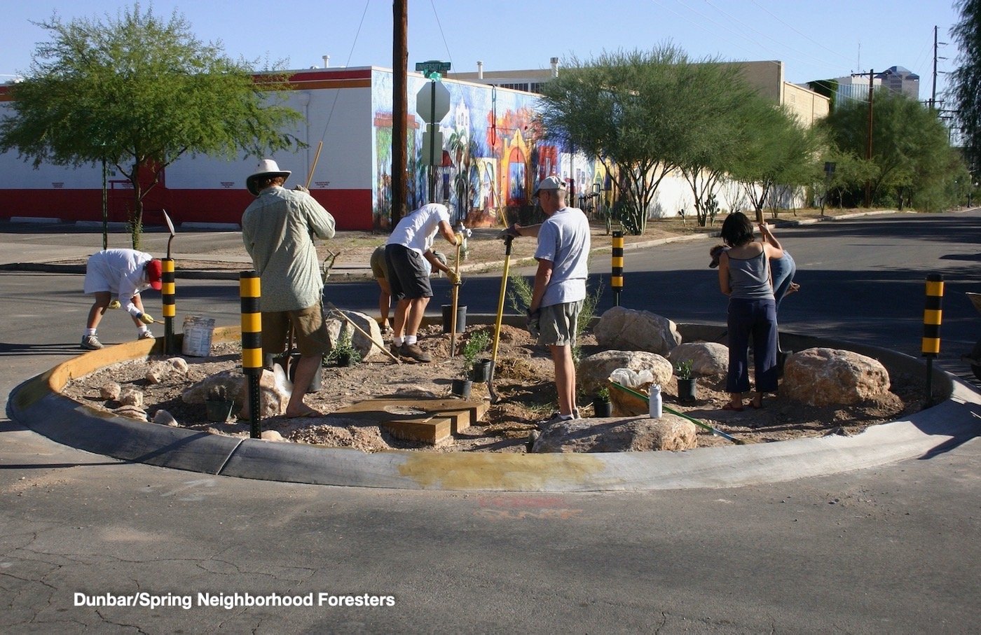 PLANT THE RAIN - Water-Harvesting Native Food Forest Fund Raiser