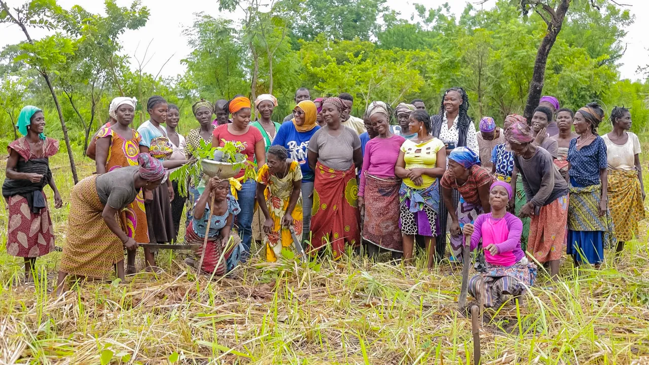 Tagba Rainforest Restoration Project:  Roots, Canopy & Community
