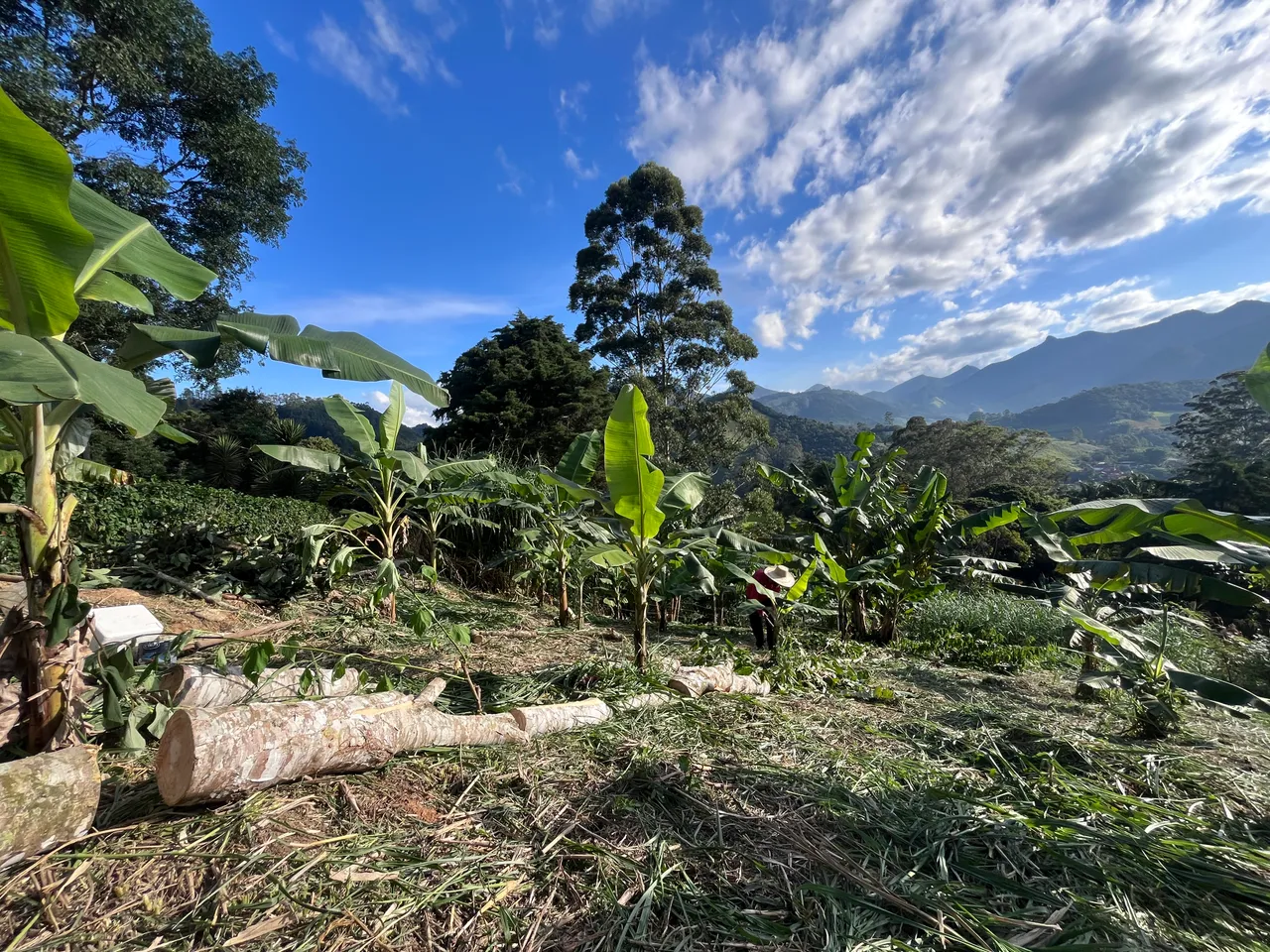Peasant to Peasant agroecology in Serrana Leste, Rio de Janeiro