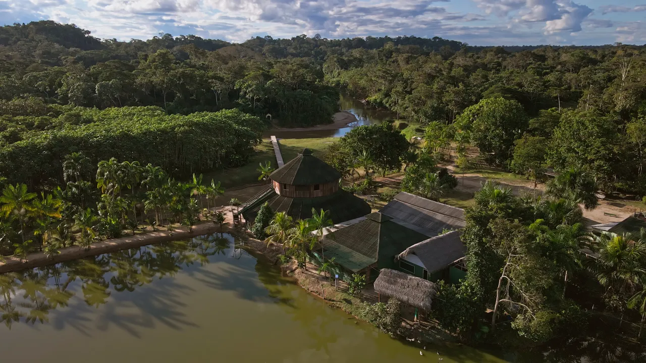 Project Yawanawa: Indigenous-Led Food Sovereignty & Forest Restoration