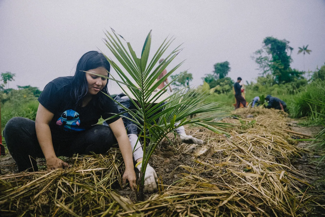 Project Yawanawa: Indigenous-Led Food Sovereignty & Forest Restoration