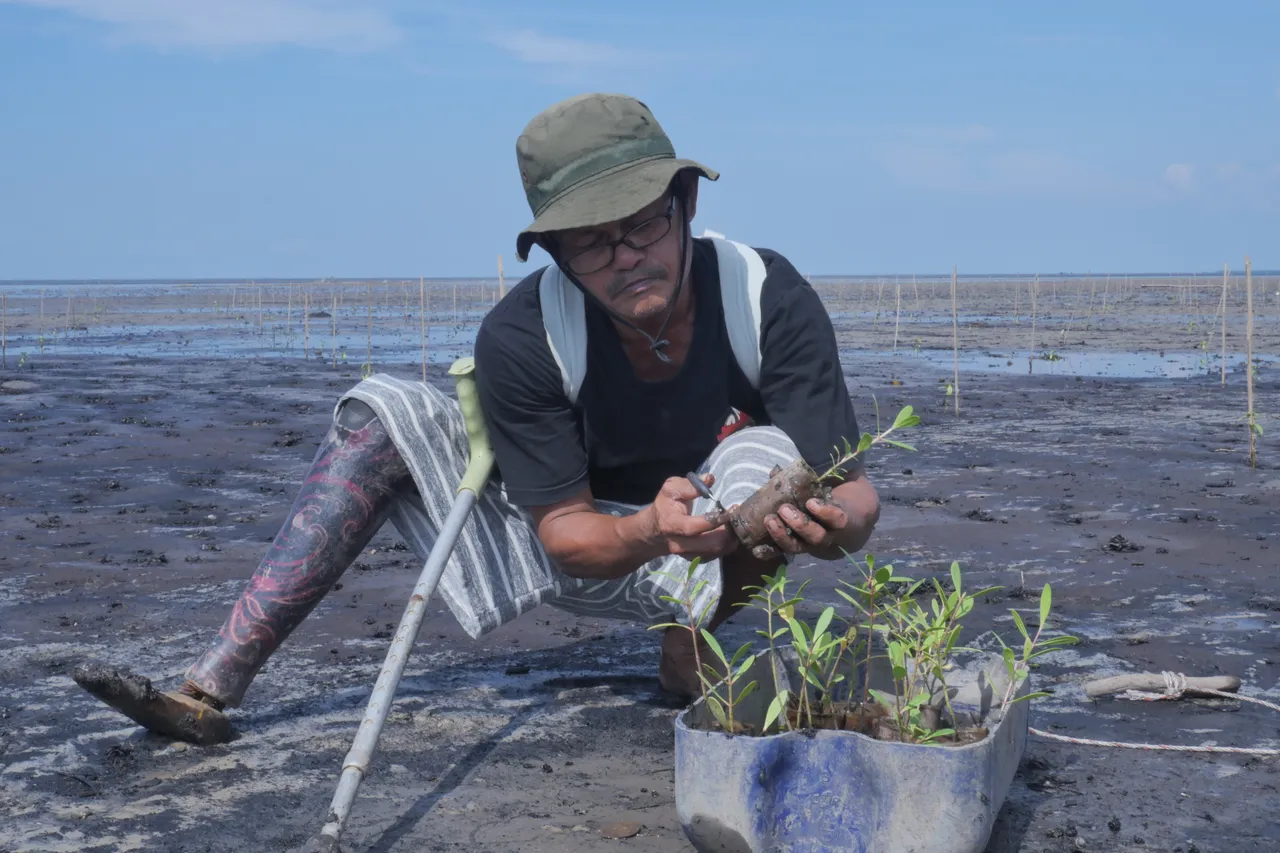Mangrove and peatland recovery in Riau Province