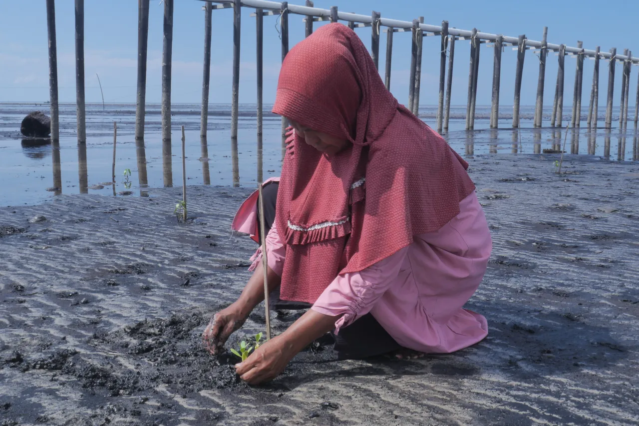 Mangrove and peatland recovery in Riau Province