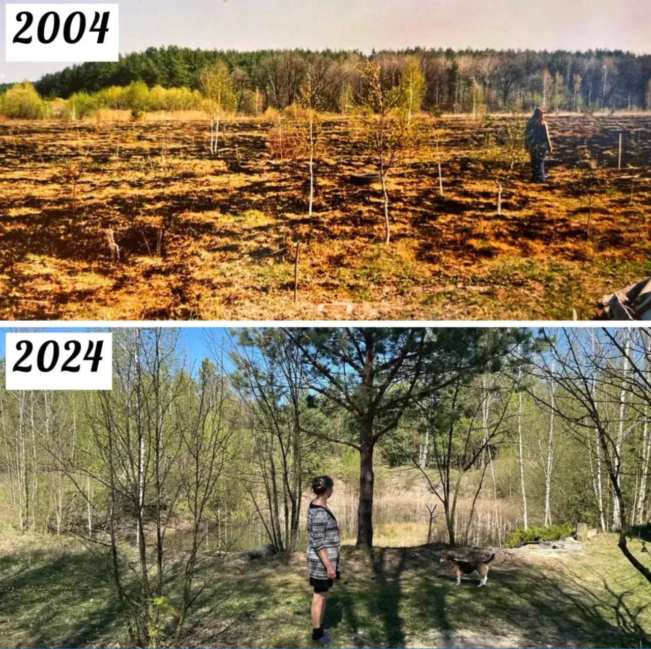 Regenerating Land and Community Resilience in Ukraine