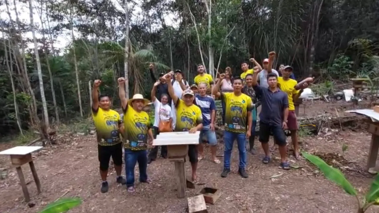 Indigenous agroforestry in Alto Solimões, Amazonas