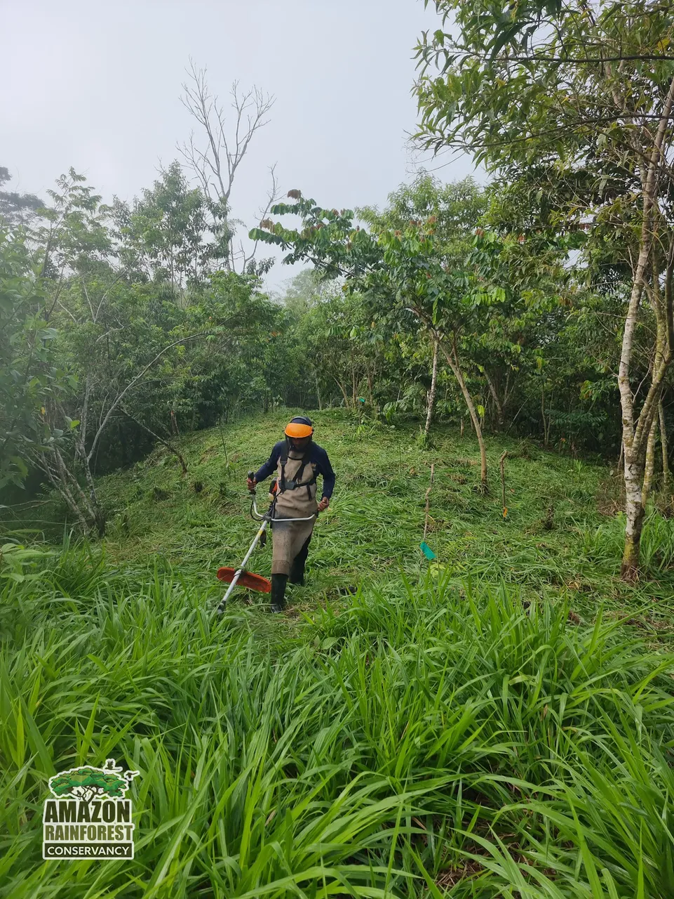 Securing a Critical Wildlife Corridor in the Peruvian Amazon Rainforest