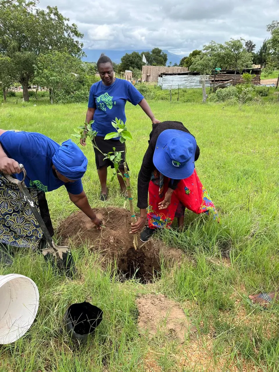 10 Trees: Growing Food Security and Regenerative Communities