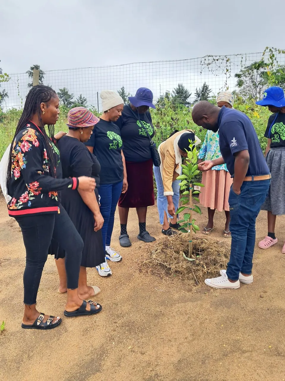 10 Trees: Growing Food Security and Regenerative Communities