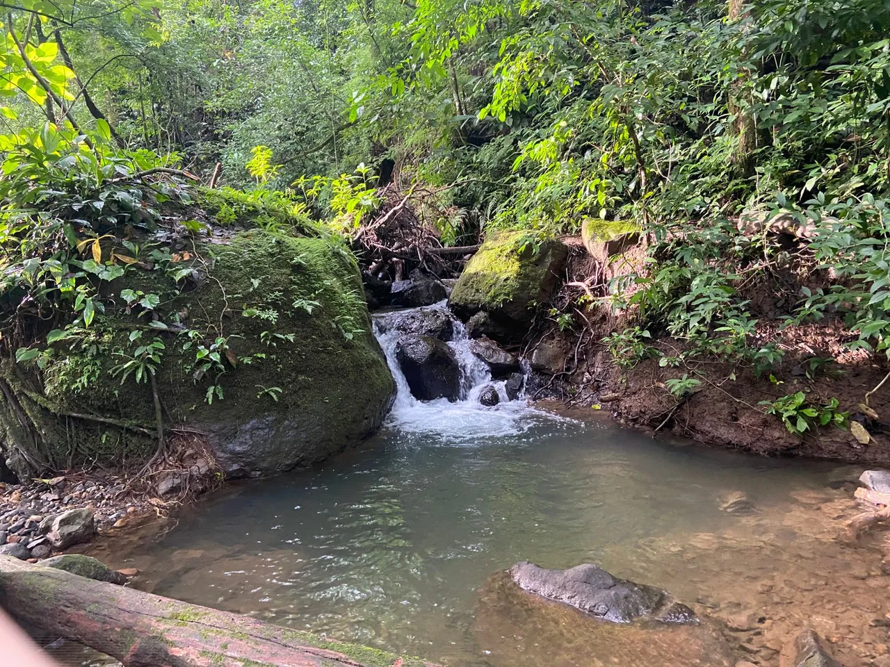 Water Keepers: Spring Protection & Riverbank Regeneration for Machuca River