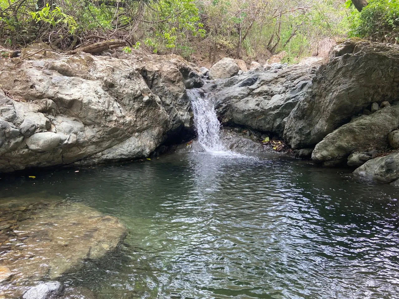 Water Keepers: Spring Protection & Riverbank Regeneration for Machuca River