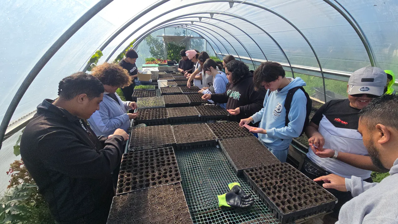 Growing 1,000 young leaders in Auckland from seed