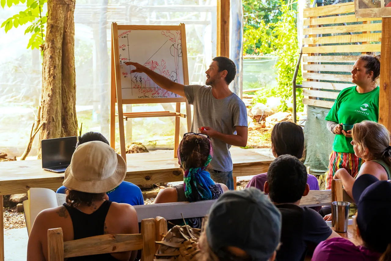 Reforesting La Loma: ancestral agroforestry in Cabarete