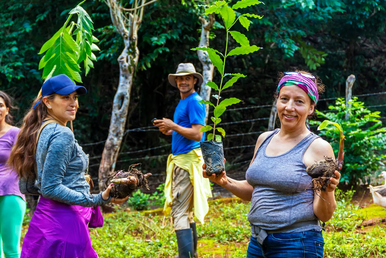 Reforesting La Loma: ancestral agroforestry in Cabarete
