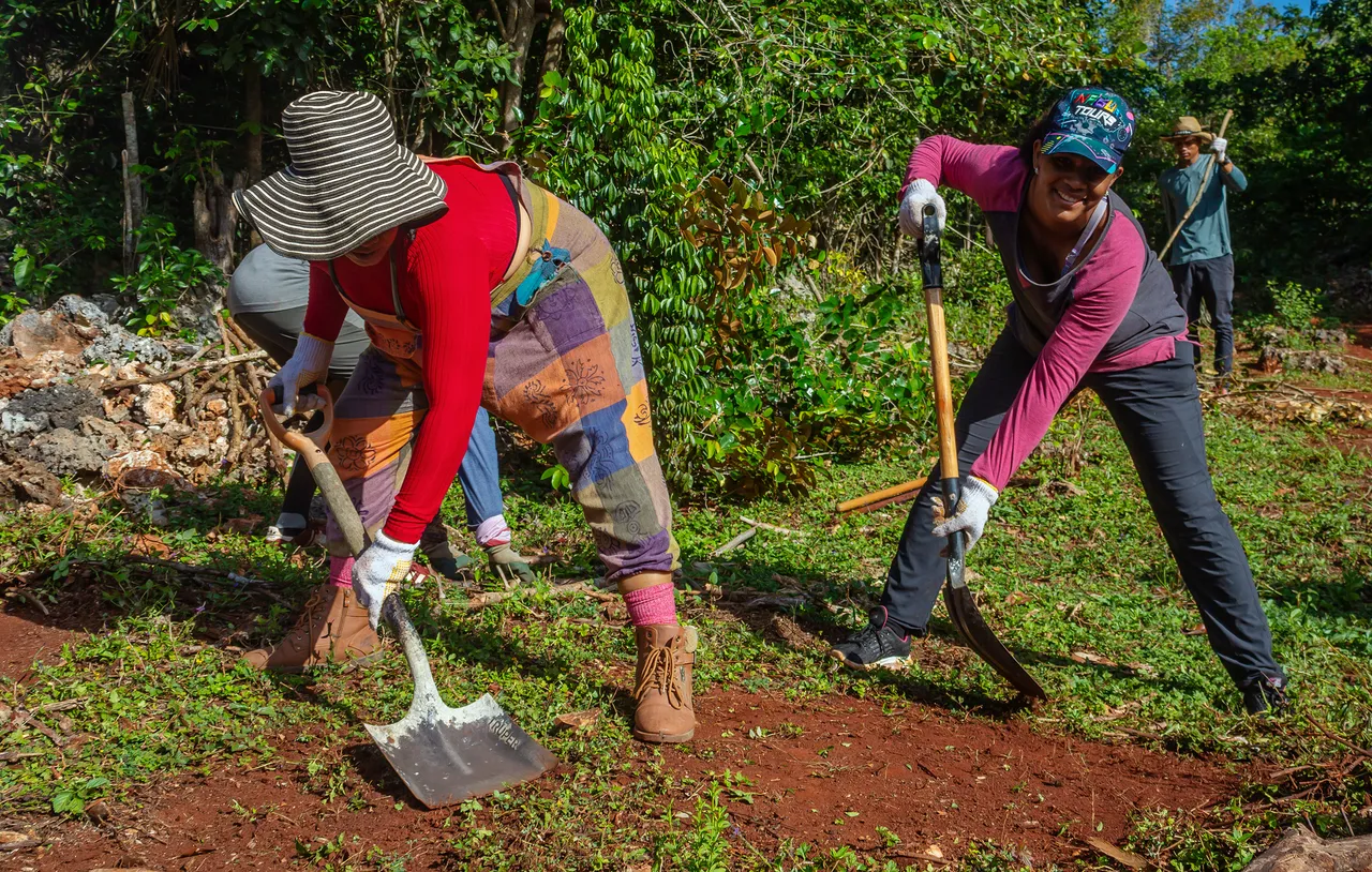 Reforesting La Loma: ancestral agroforestry in Cabarete