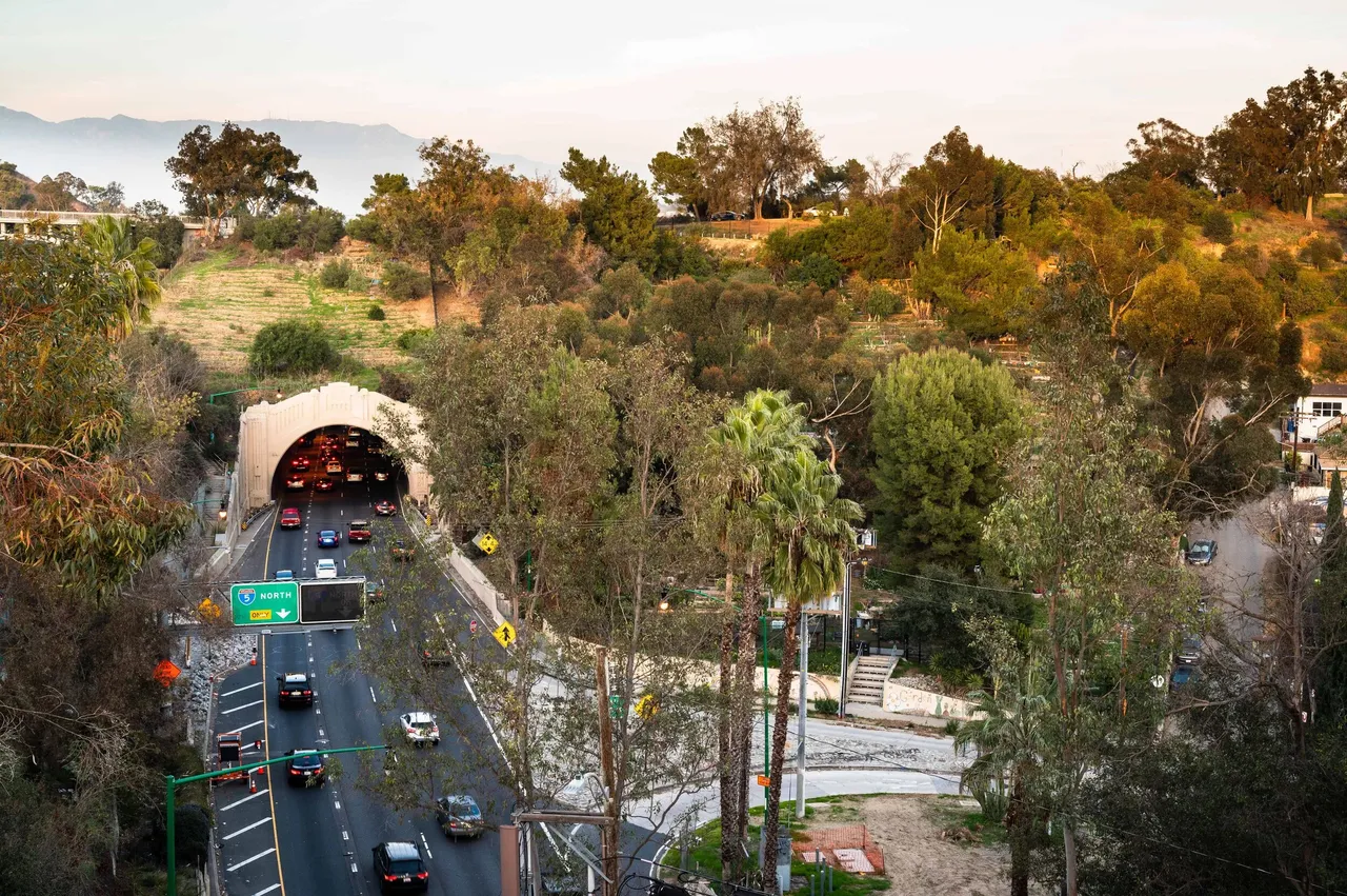 Shared Land, Shared Leadership: Community Gardens in Los Angeles
