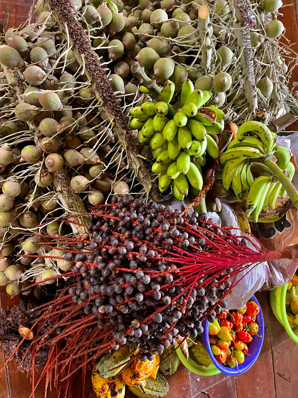 Living Chacras: Regenerating Land and Learning in the Peruvian Amazon