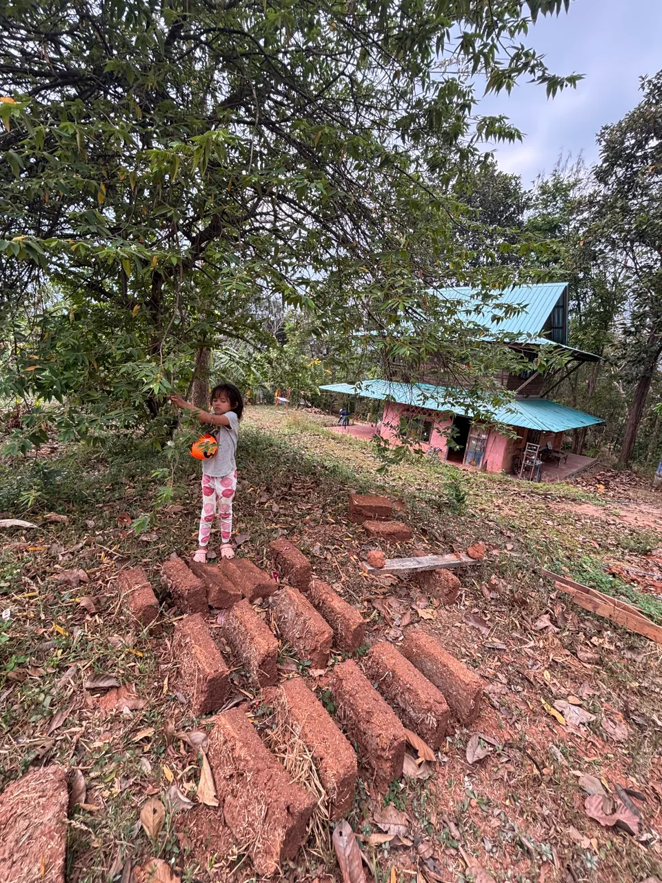 Restoring Water and Livelihoods at Panya Forest