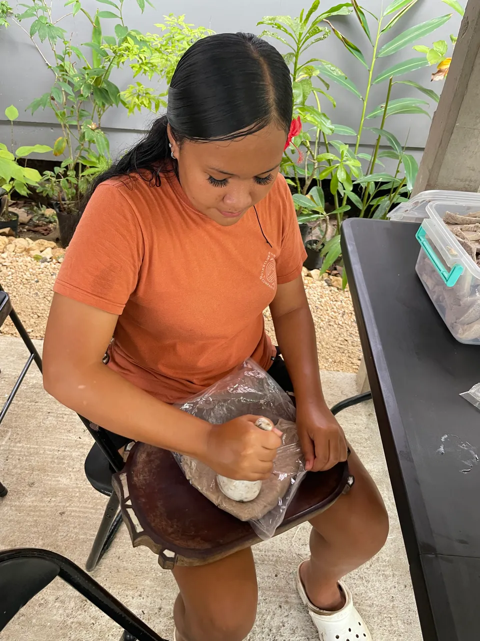 Restoring Mesei, Cultural Taro Patches, in Ollei, Palau