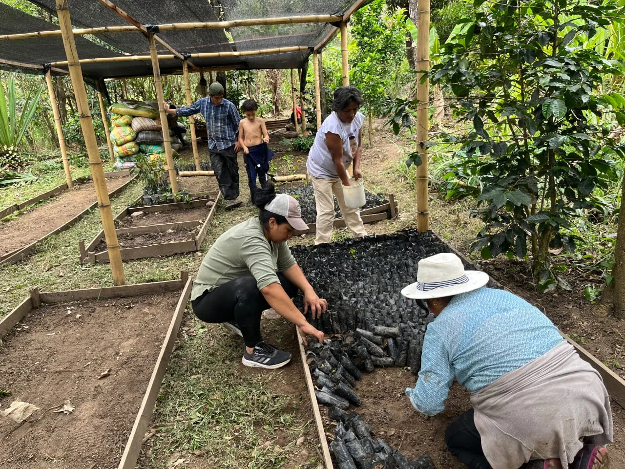 Roots & Routes: Restoring Andean forests with Community-based Tourism