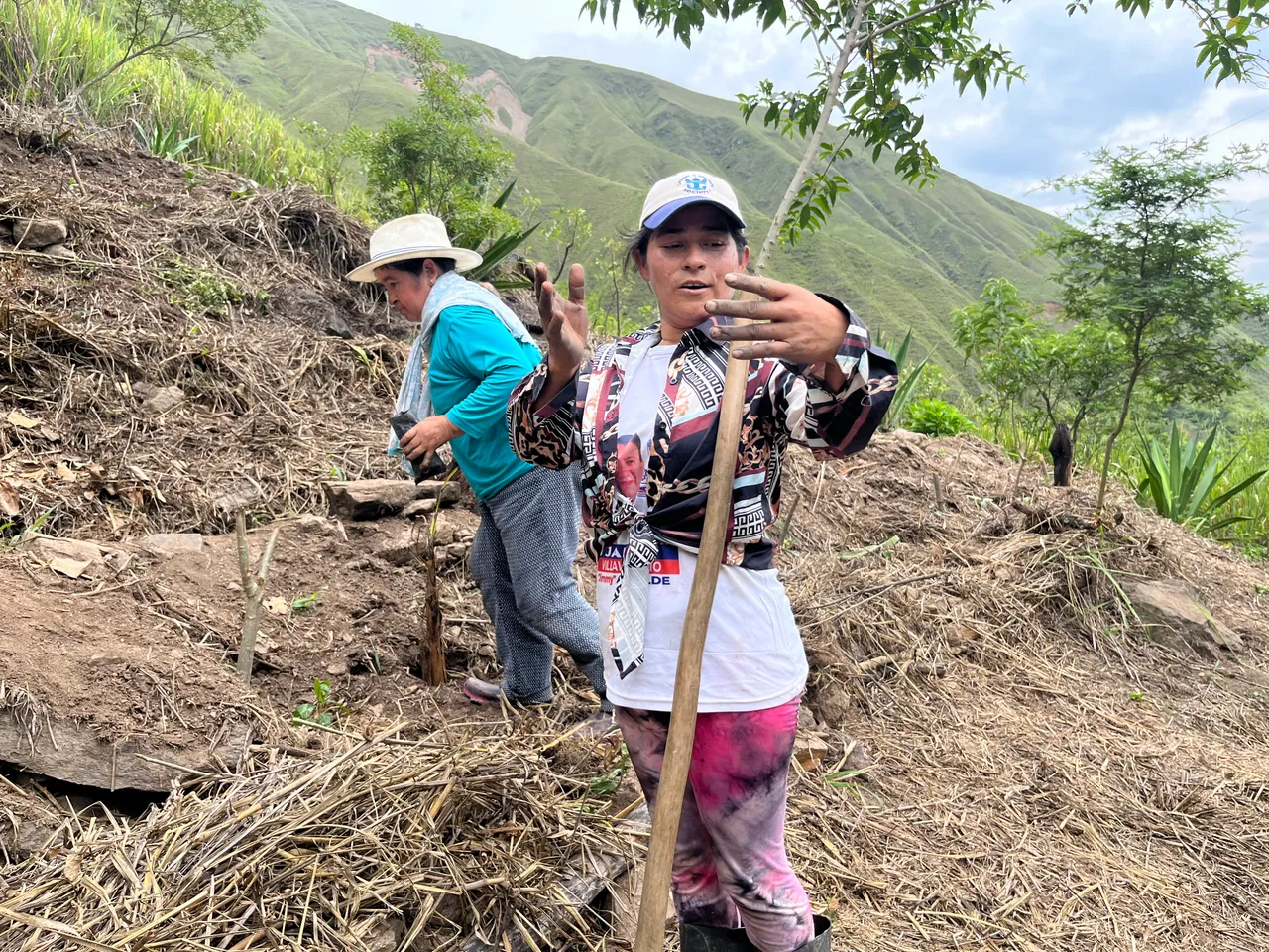 Roots & Routes: Restoring Andean forests with Community-based Tourism