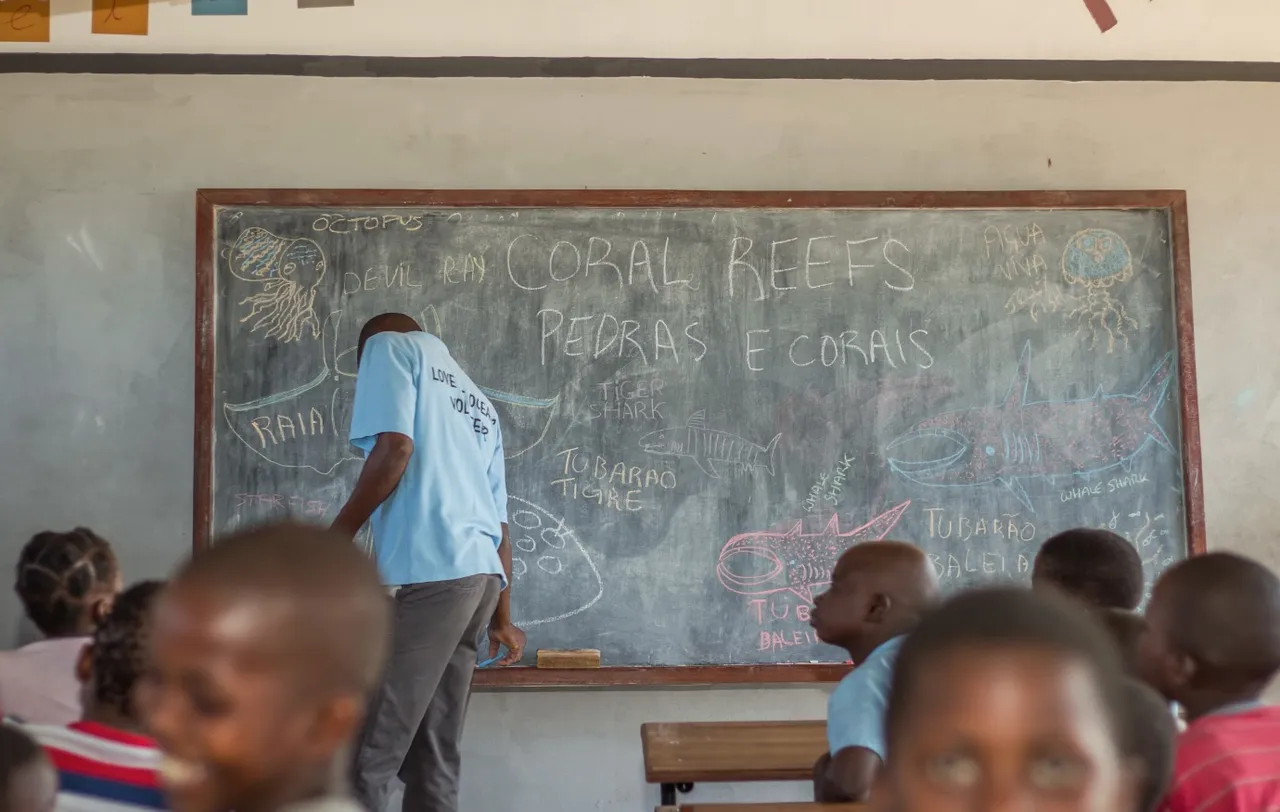Rebuilding Mozambique's ocean: Jangamo community conservation