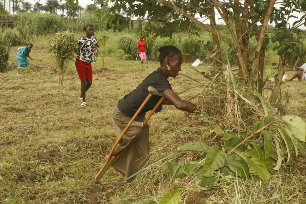 Bokashi Production Hub for Smallholder Farmers, Sierra Leone