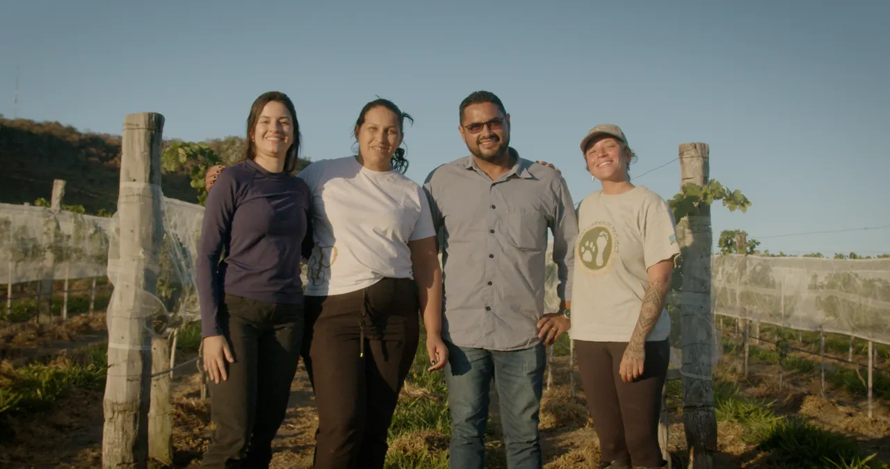 Restoring jaguar corridors in Goiás, Brazil