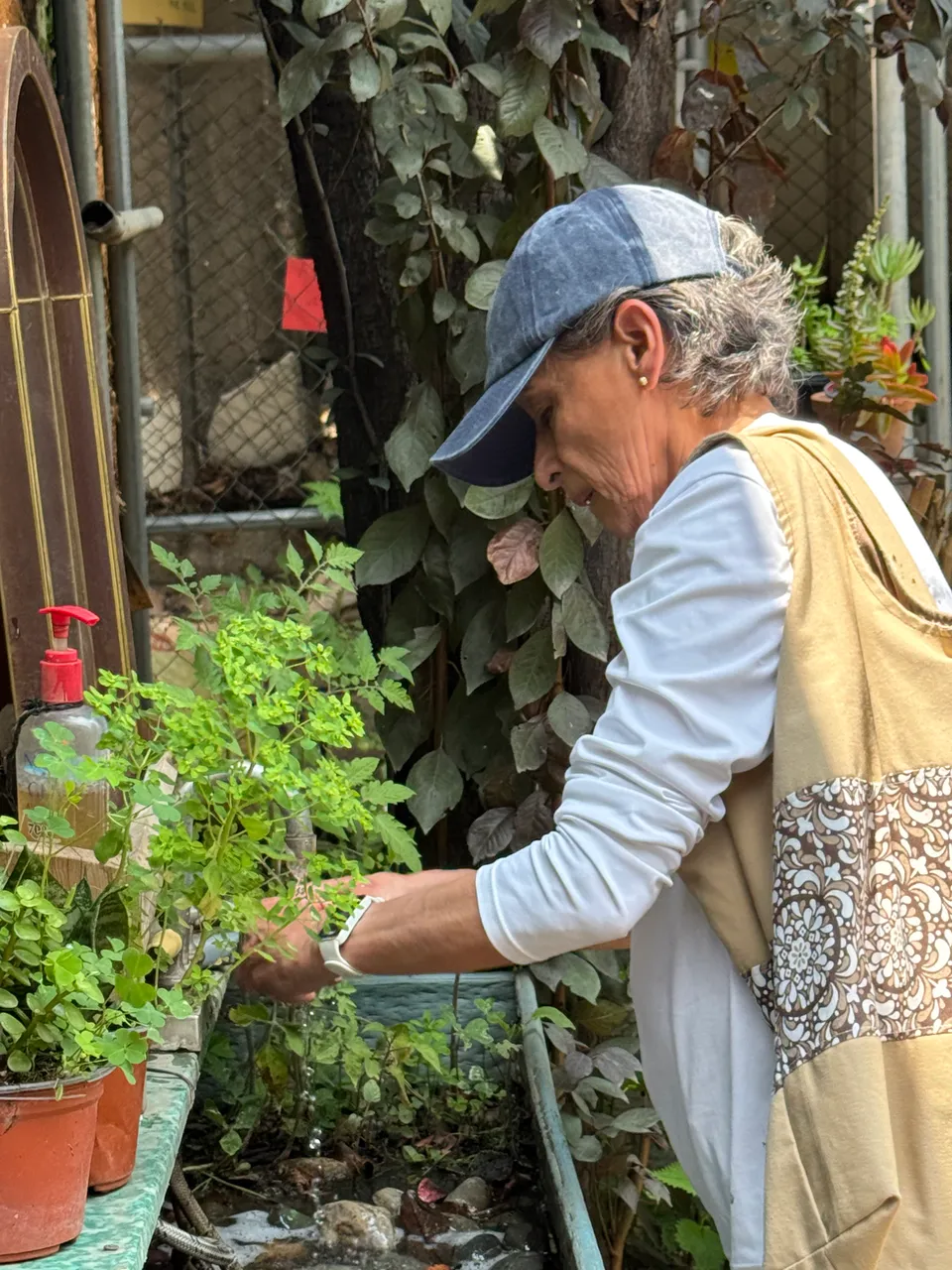 Huerto Tlatelolco: Restoring Land and Growing Community through Agroecology