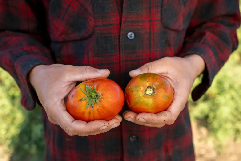 Building drought-resilient farms across the Pacific Northwest