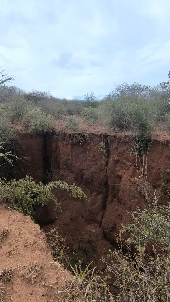 From eroded earth to healing justice sanctuary in Sultan Hamud