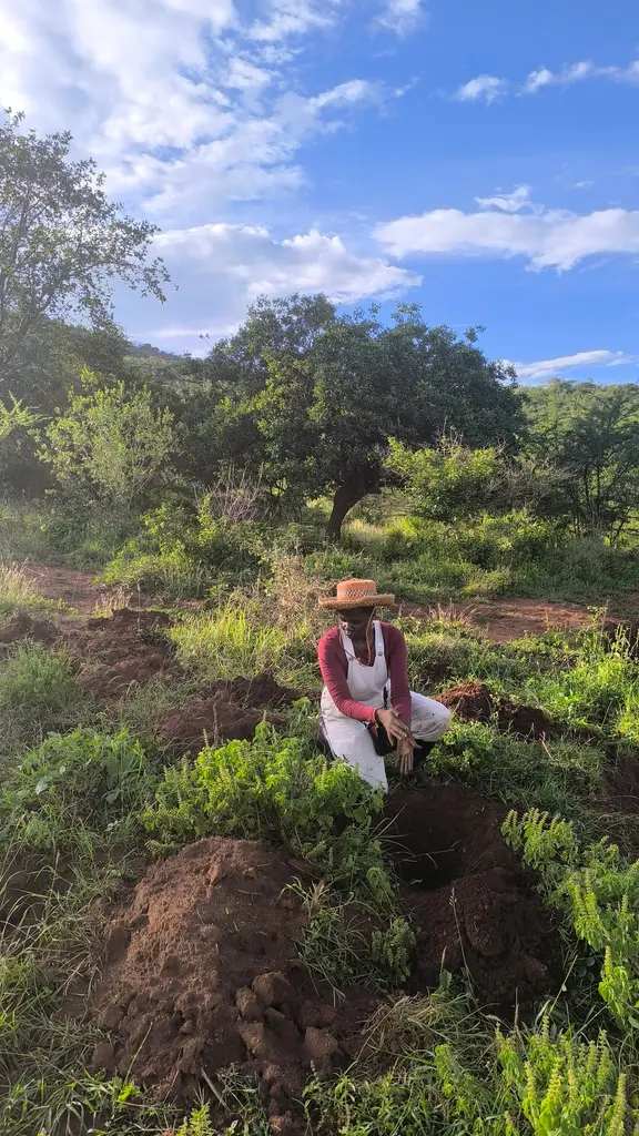 From eroded earth to healing justice sanctuary in Sultan Hamud