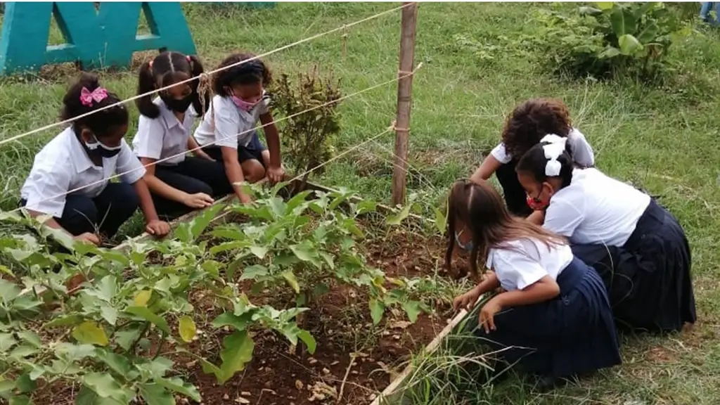 Finca Kosmos living Regenerative School in Guanacaste, Costa Rica