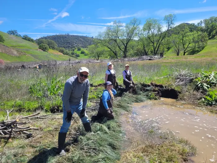 Restoration of Sulphur Creek Watershed at Wilbur Hot Springs