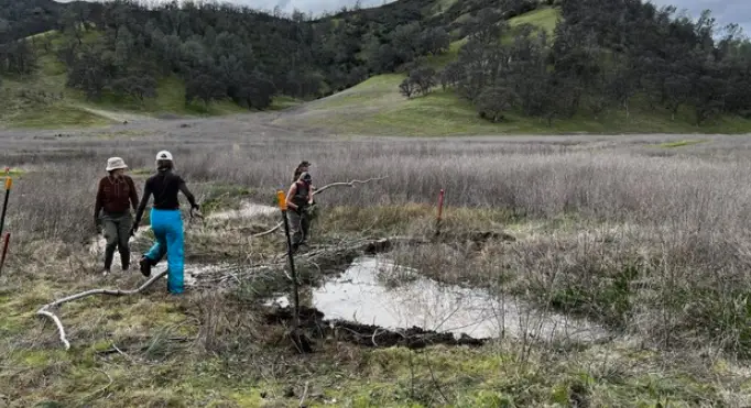 Restoration of Sulphur Creek Watershed at Wilbur Hot Springs