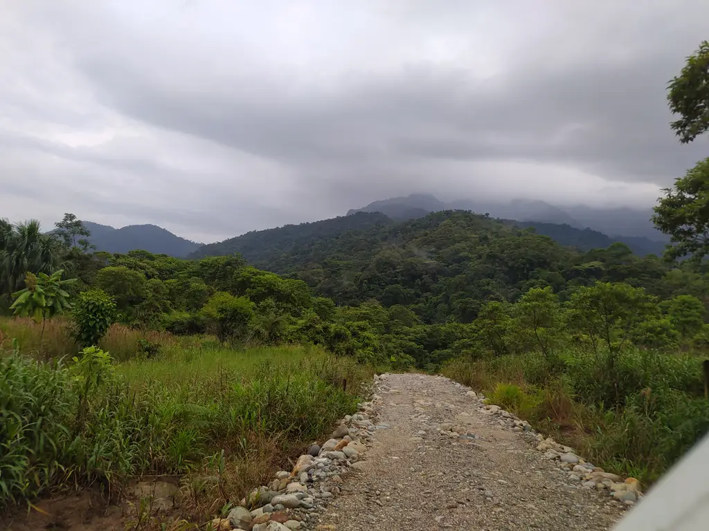 Bosque Semilla: Amazonian Living Seed Bank Forest in Napo, Ecuador