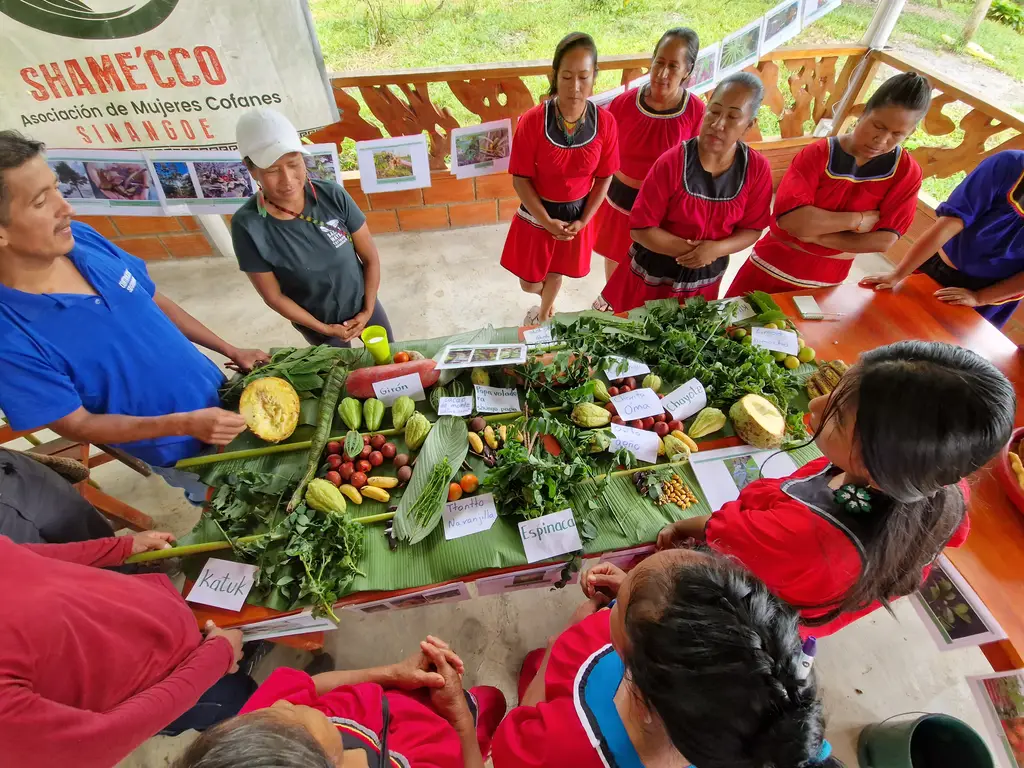 Bosque Semilla: Amazonian Living Seed Bank Forest in Napo, Ecuador