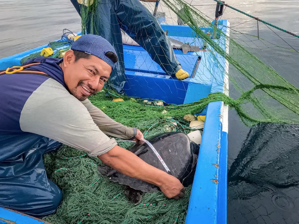 Iluminar el Mar: Combatting Fisheries Bycatch of Endangered Marine Species