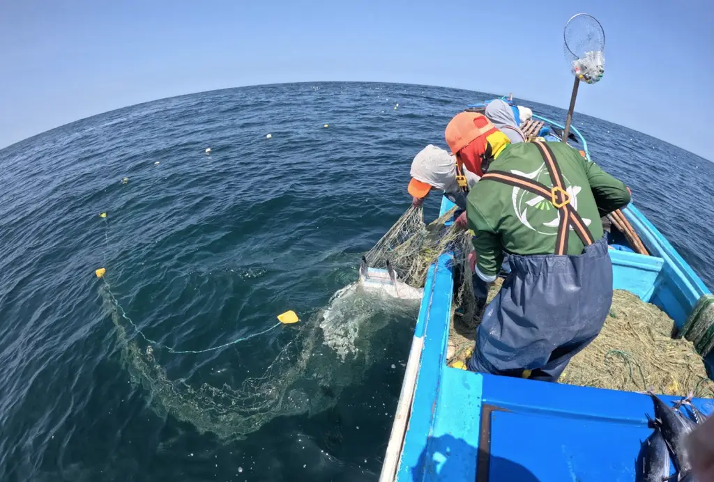 Iluminar el Mar: Combatting Fisheries Bycatch of Endangered Marine Species