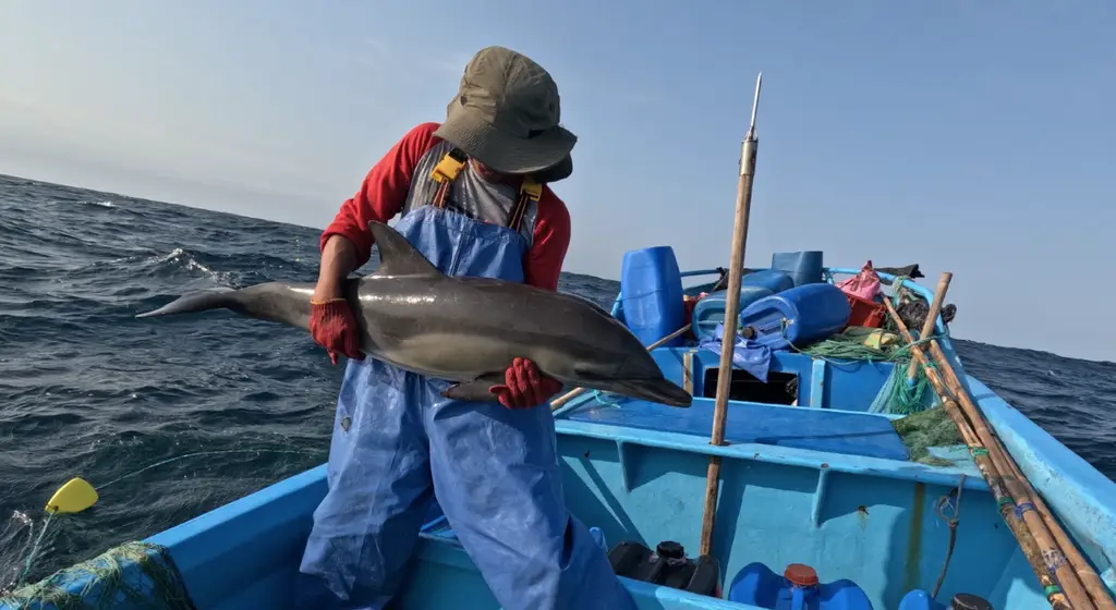 Iluminar el Mar: Combatting Fisheries Bycatch of Endangered Marine Species