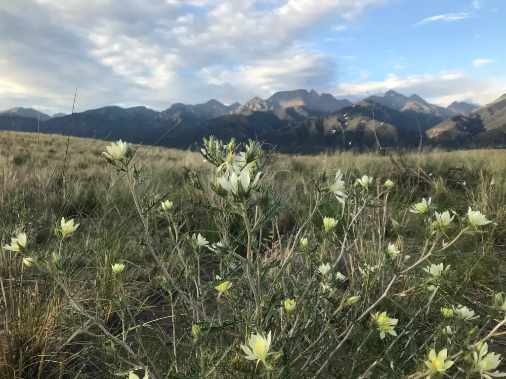The San Luis Valley Mountain That Owns Itself