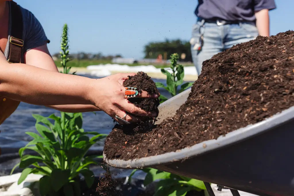 Healing Foods After Incarceration + the Black Ecologies Garden in Humboldt