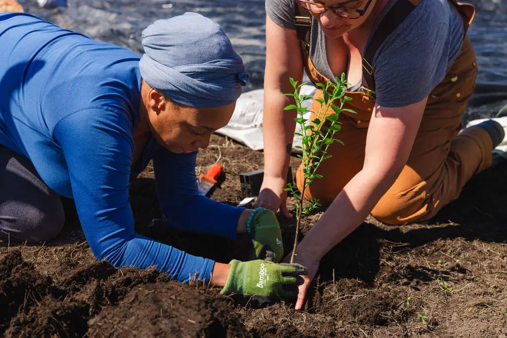 Healing Foods After Incarceration + the Black Ecologies Garden in Humboldt