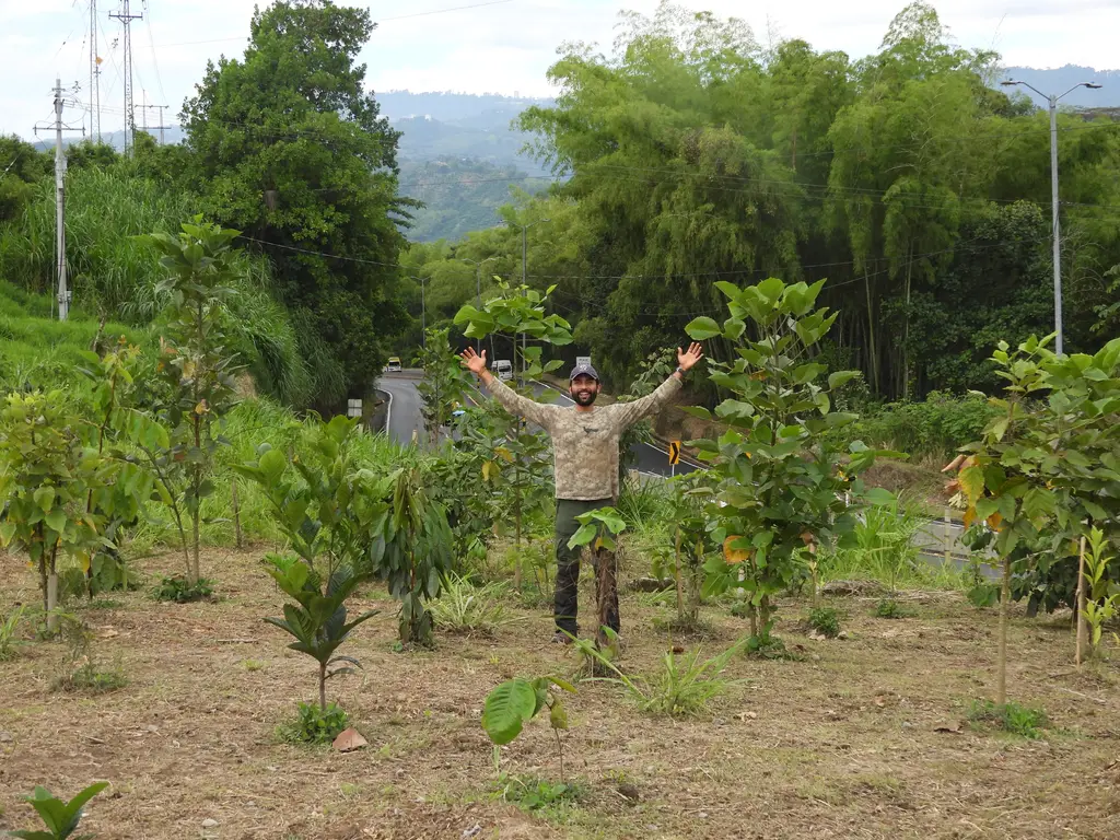 Restoring Golden-winged Warbler habitat in Colombia's Central Andes