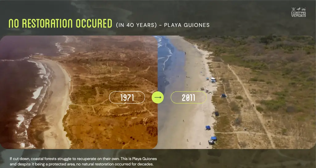 Costas Verdes: Expanding Costa Rica's Coastal Forest Restoration