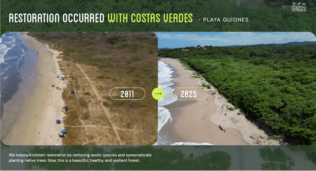 Costas Verdes: Expanding Costa Rica's Coastal Forest Restoration