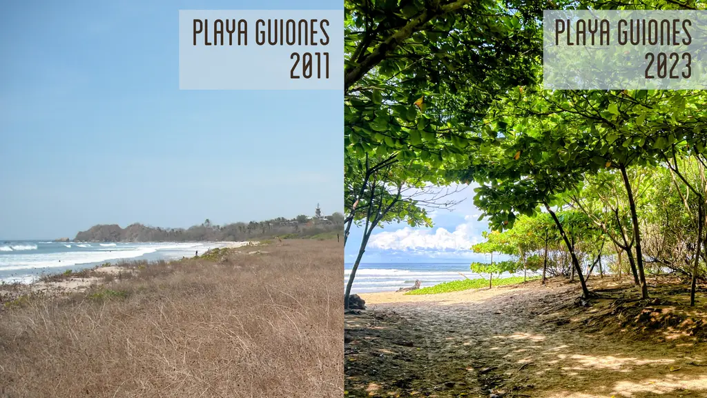 Costas Verdes: Expanding Costa Rica's Coastal Forest Restoration