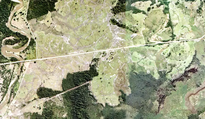 Restoring the Atlantic Forest in Paraná, Brazil