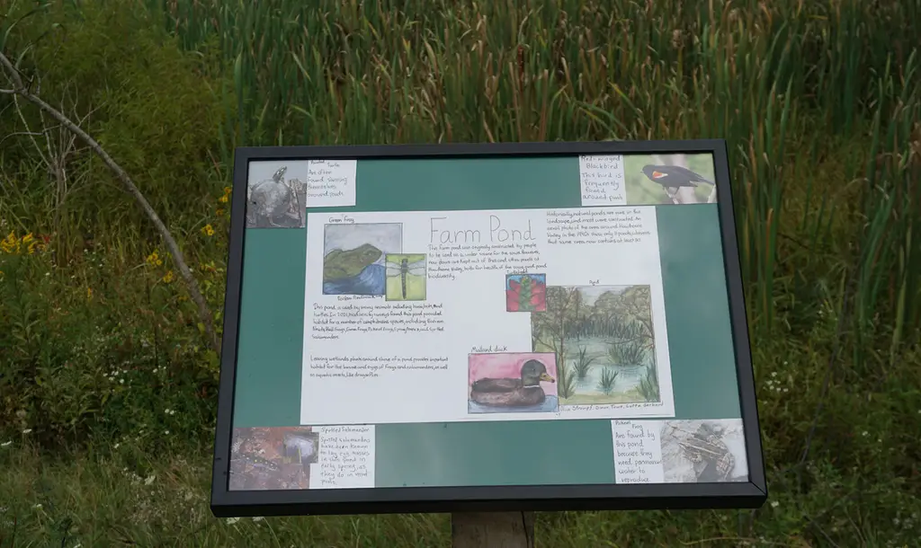 Hawthorne Valley biodiversity trail expansion